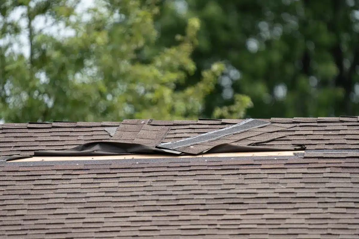 closeup of storm damaged roof before inspection