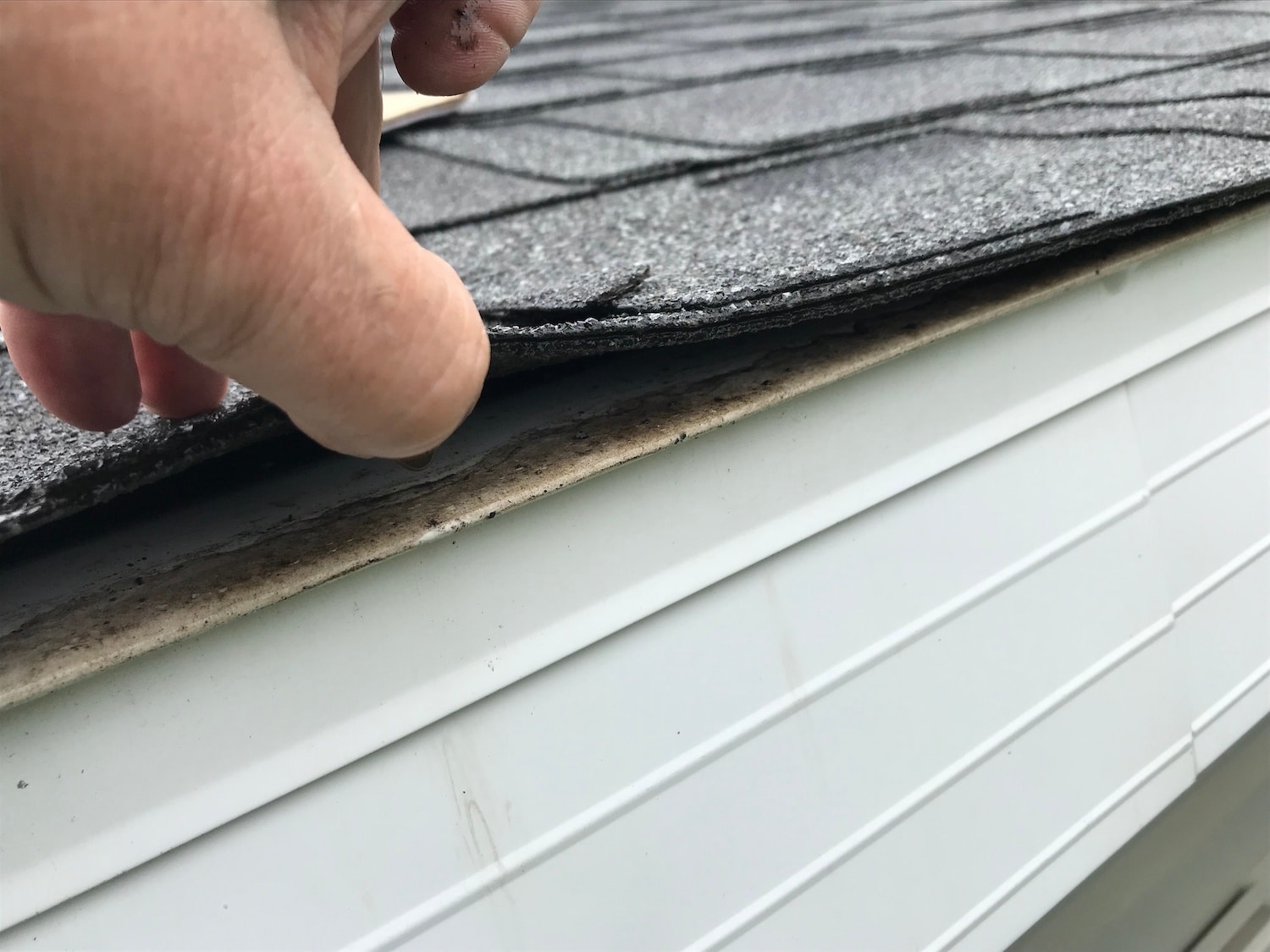 roofing problems shrinking roof