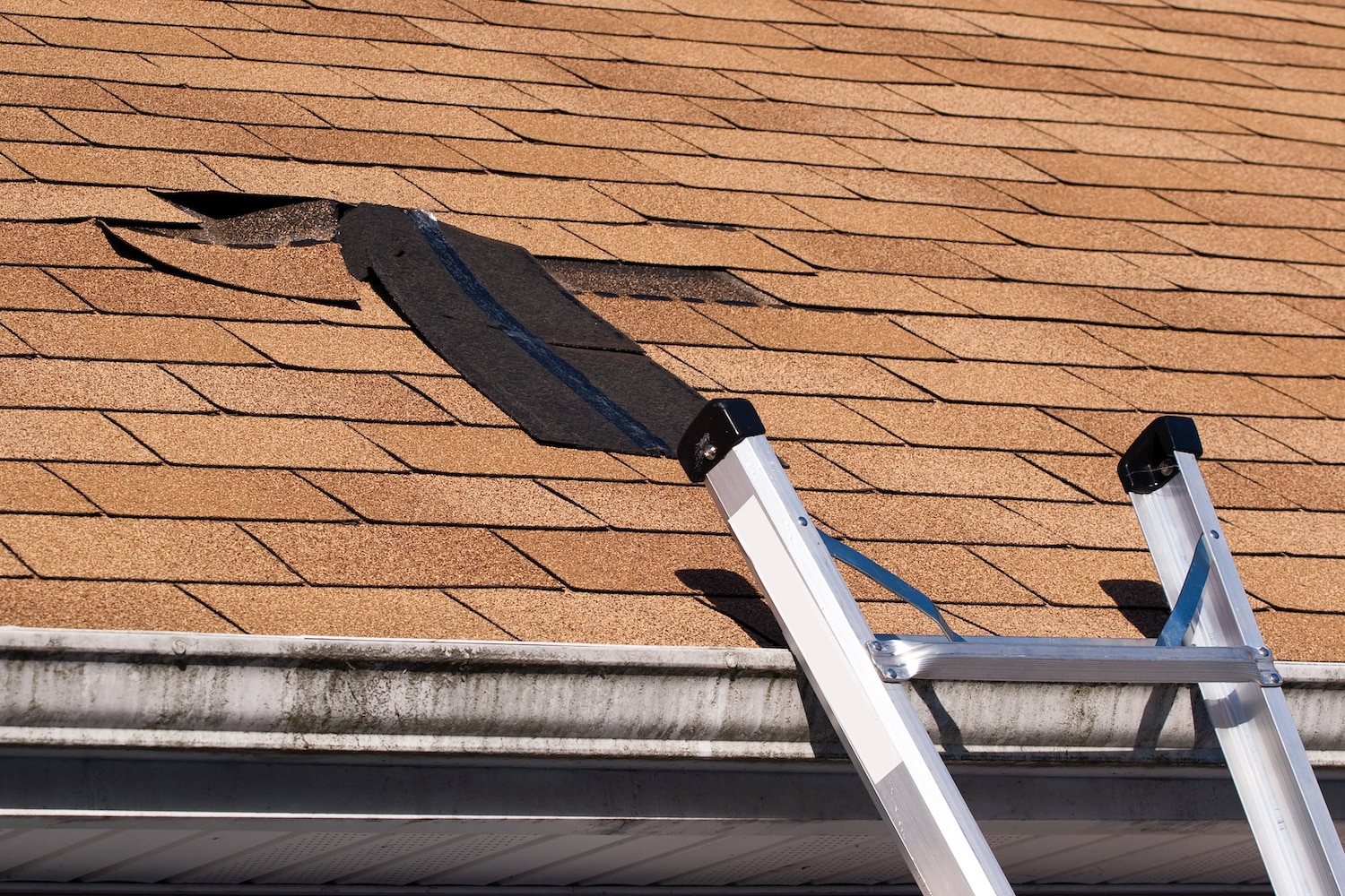 repair or replace your roof ladder