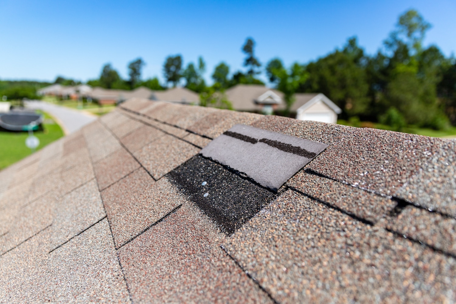 repair or replace your roof single