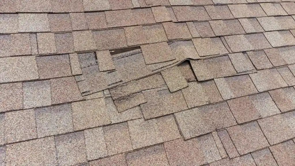 closeup of damaged roofing shingles during roof inspection