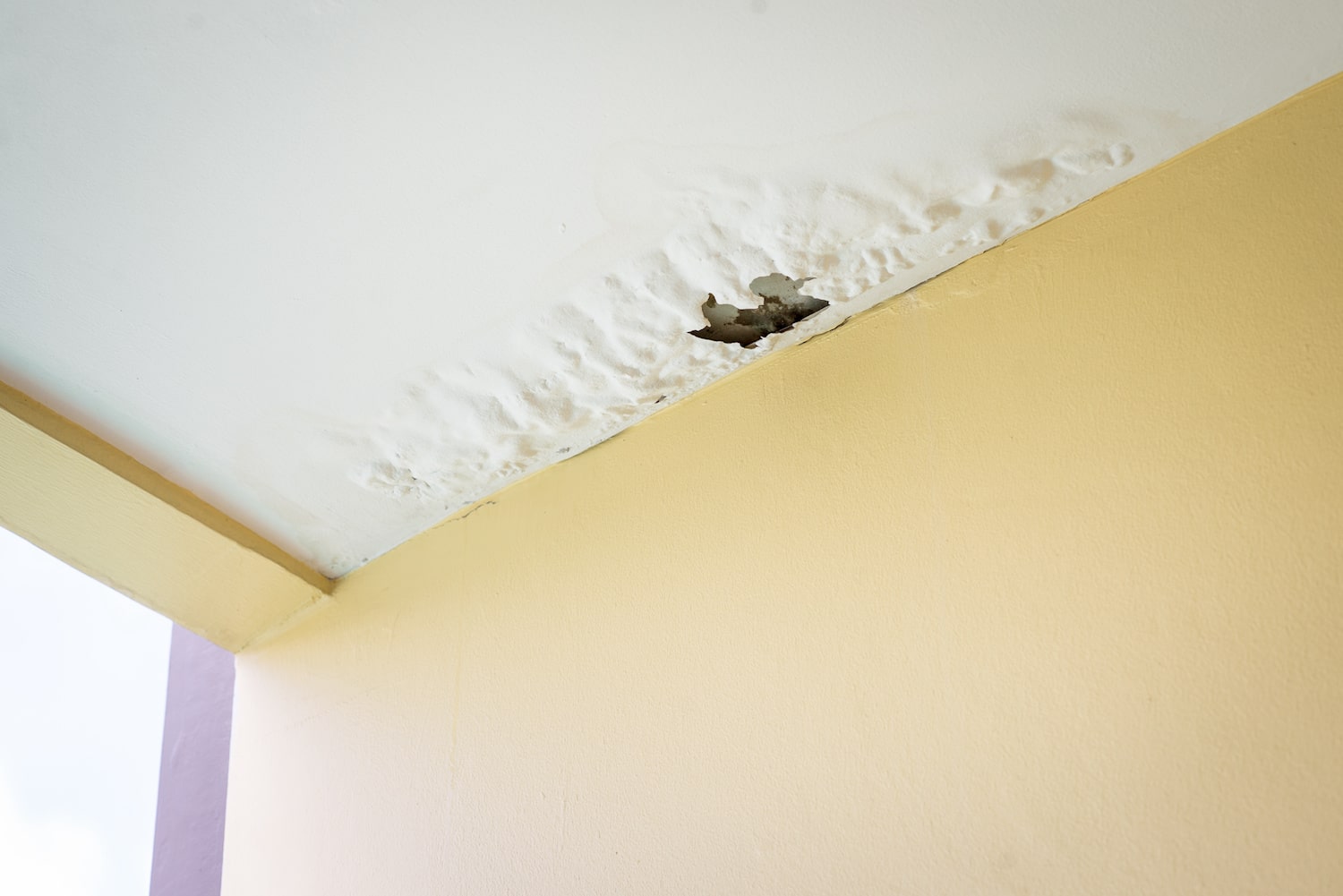 storm damage insurance claim ceiling