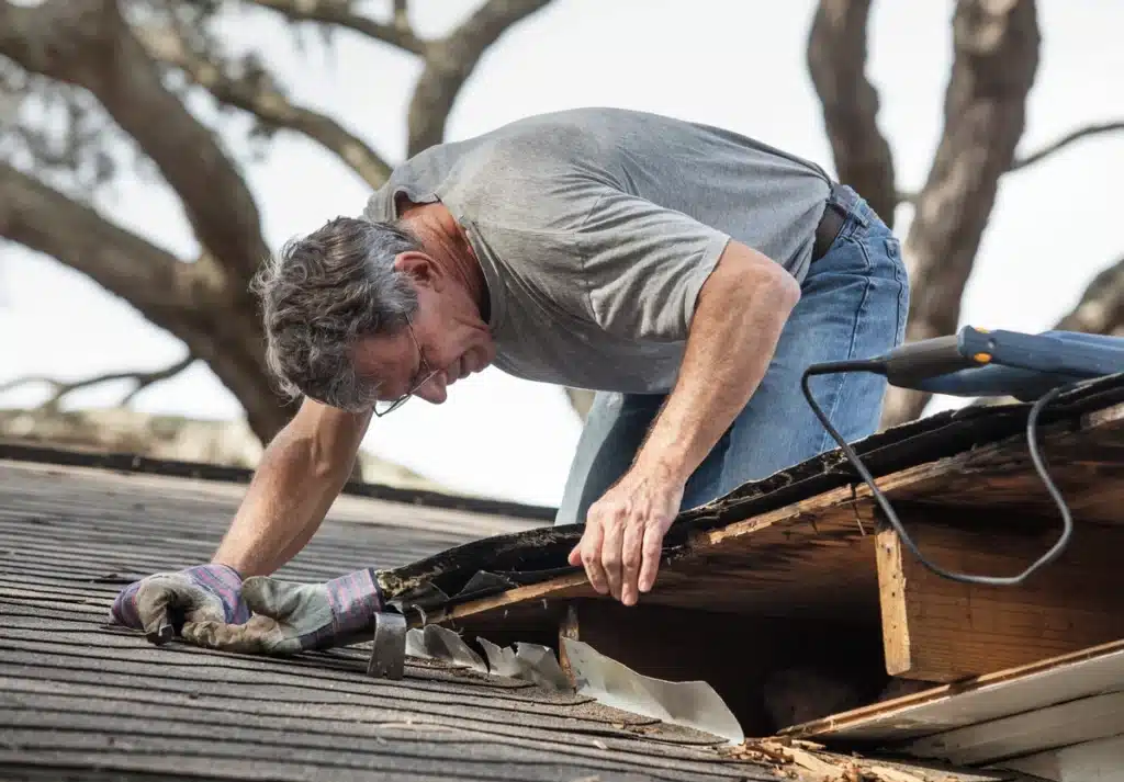 homeowner inspects roof for roof leak caused by animal infestation