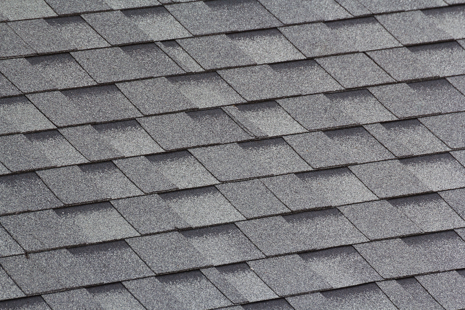 black forest roofing company shingles