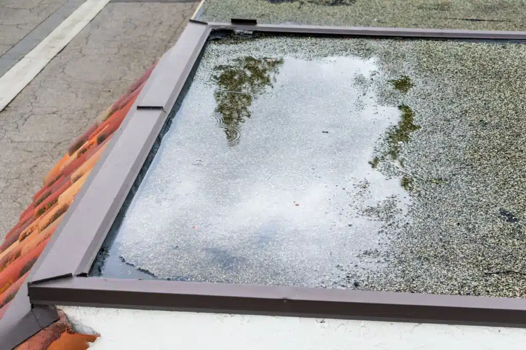 ponding water on flat roof of house after heavy rain