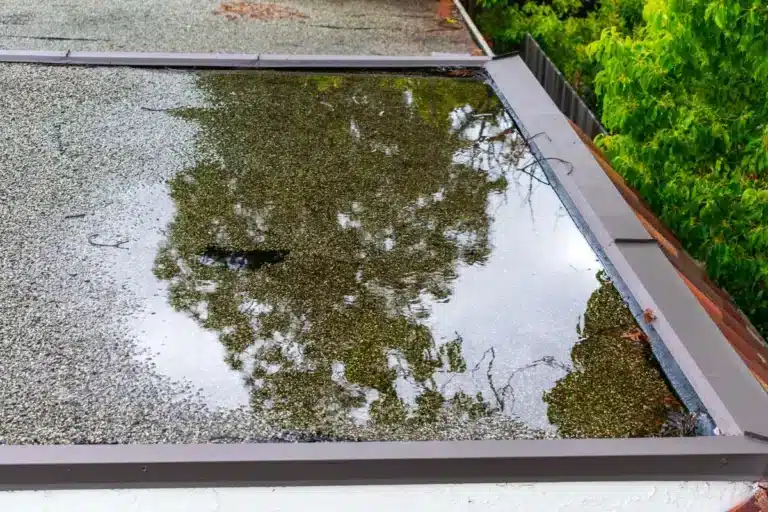 heavy rain water on flat roof causing damage on house