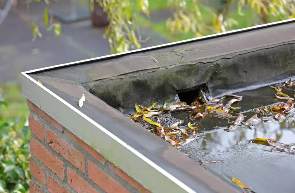 water pooling on a roof